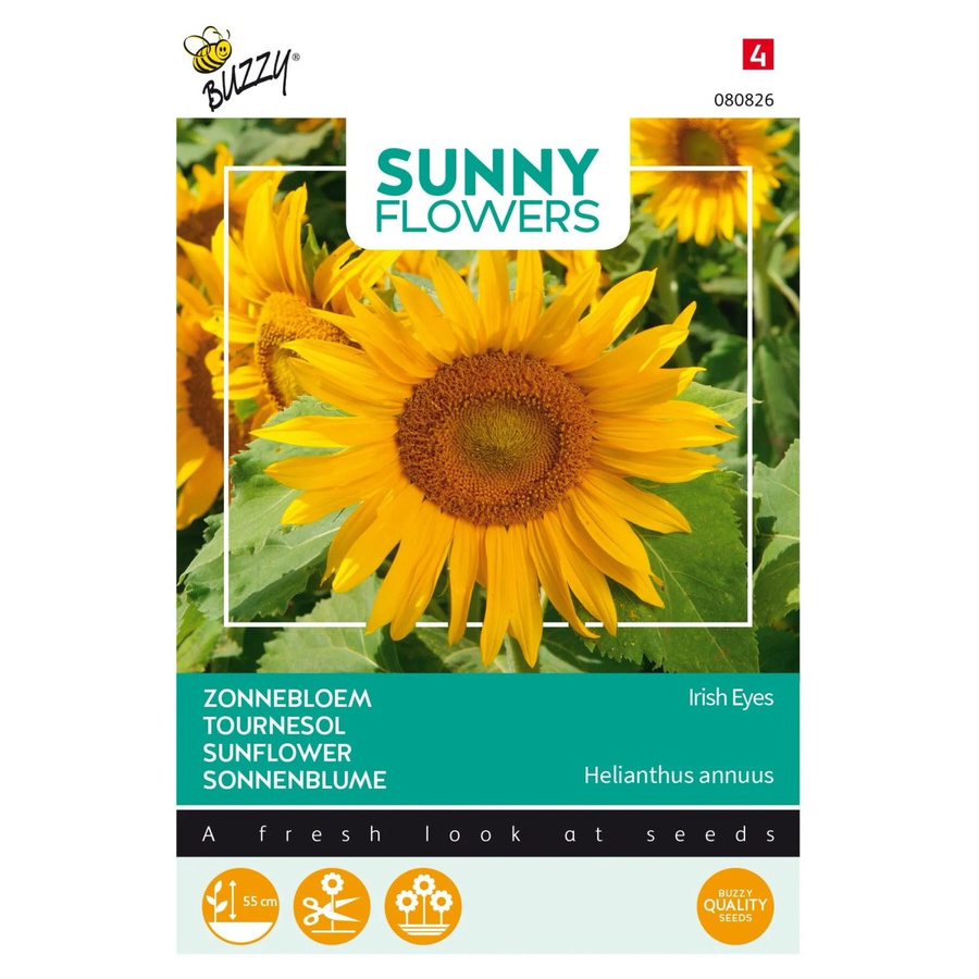 Sonnenblume Irish Eyes Buzzy Sunny Flowers Samen für Beet und Hecke, 1 g - Bild 2