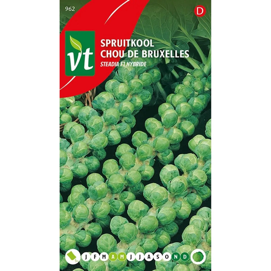 Rosenkohl Steadia F1-Hybride Samen von arborix mit hohem Vitamin-C-Gehalt, 0,3 g - Bild 2