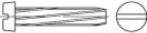 TOOLCRAFT Schneidschrauben M3 20mm Schlitz DIN 7513 Stahl galvanisch verzinkt Silber 1000 Stück - Bild 1