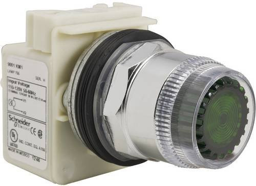 Schneider Electric Drucktaster 9001K1L1GH13 600V AC 10A 30mm T-K - Bild 1