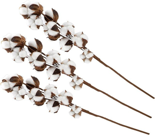 Tooarts Natur Baumwollzweige Kapok Trockenblumen in Weiß für Hochzeitsfeier und Heimdeko, 3 Stück, Höhe: 60 cm - Bild 1