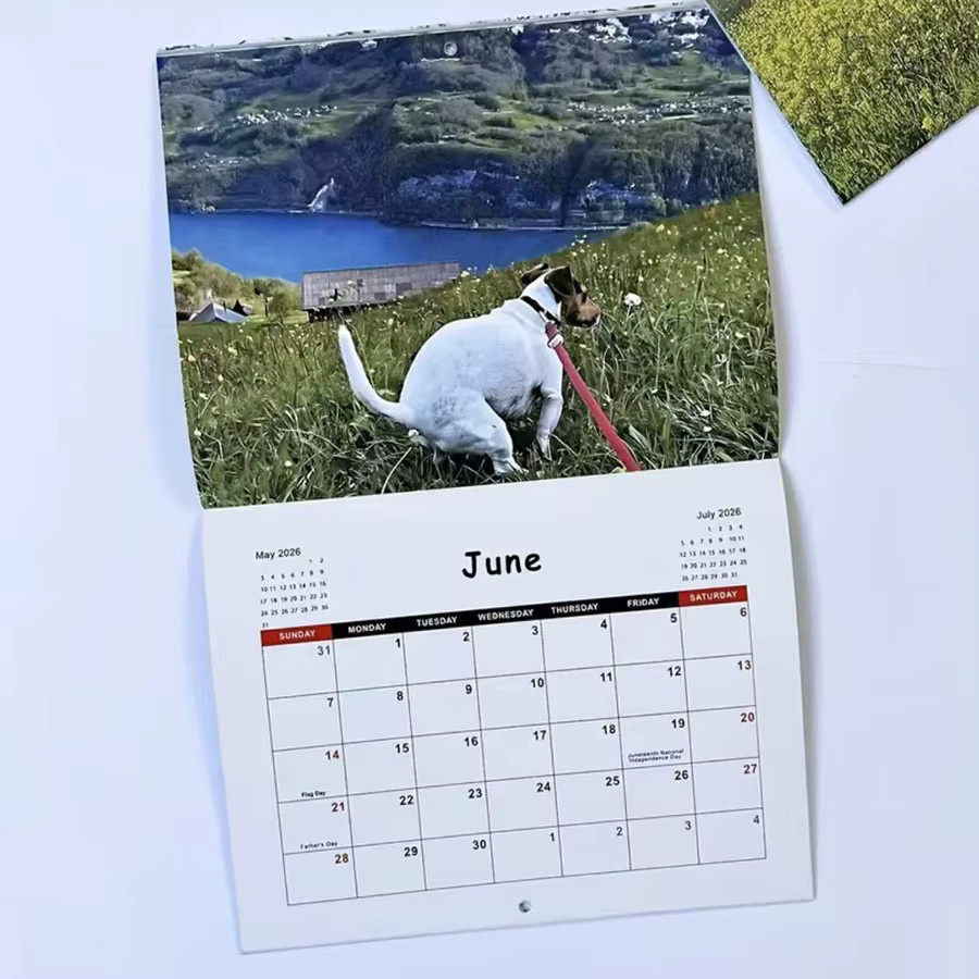 Lustiger Hundekot-Kalender 2026 Monatsplaner mit humorvollen Hundeszenen in Weiss und Multicolour, Breite: 25,0 cm, Höhe: 19,0 cm, Tiefe: 1,0 cm - Bild 3