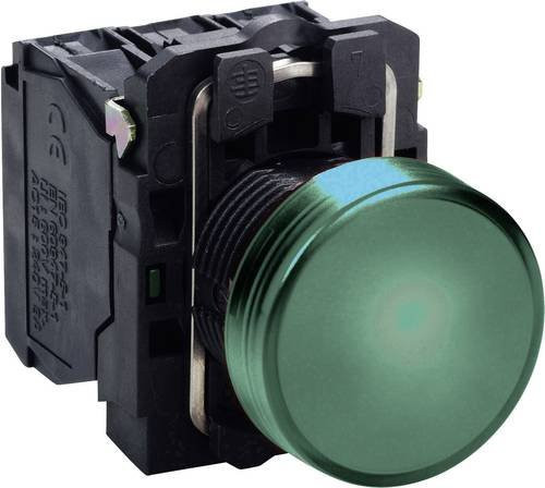 Schneider Electric XB5AVG3 Leuchtmelder in Grün aus Kunststoff - Bild 1