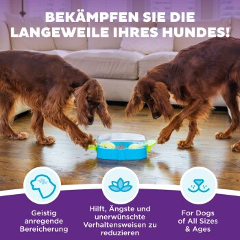Nina Ottosson Paw N' Play Intelligenzspielzeug - Bild 2