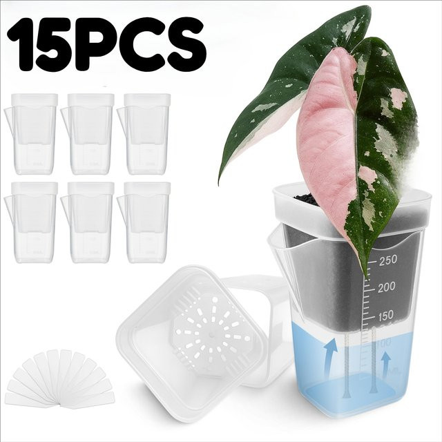 YOCITY 15er Set selbstbewässernde Pflanzentöpfe aus transparentem Kunststoff für die Pflanzenvermehrung, B/T/H: 8,0 x 5,0 x 8,0 cm - Bild 1