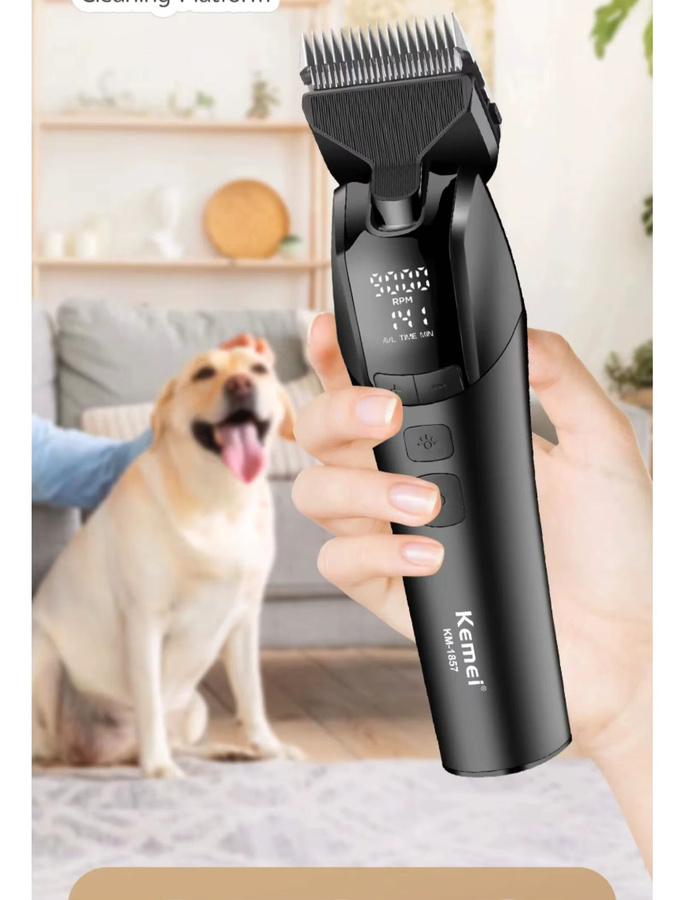 Kemei professioneller Tierhaarschneider in Schwarz, elektrisch und wiederaufladbar für Hunde und Katzen, 10W - Bild 4