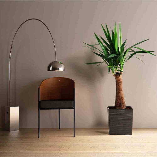 Siena Garden Pflanzgefäß Modern Graphit B/T/H: 30 x 30 x 31 cm - Bild 3