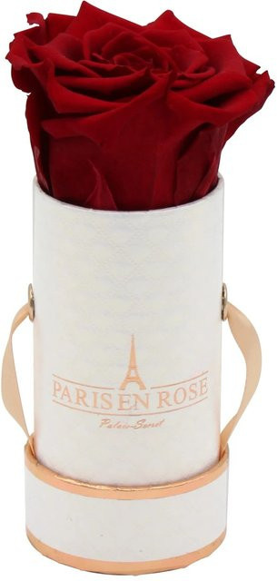 PARIS EN ROSE Rosenbox Weiß mit einer Bordeaux Rose Durchmesser: 5 cm - Bild 1