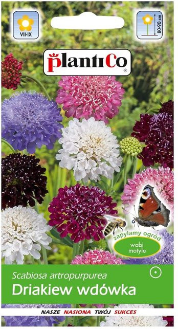 PlantiCo Widow Blumensamen Mischung, buntes Einjährige Blumenmischung für Blumenbeete und Schnittblumen, 0,5 g - Bild 1