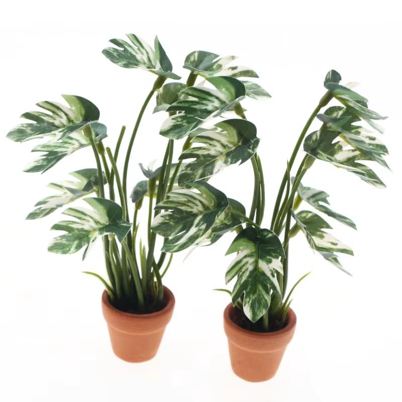 SHNGki Monstera Miniaturpflanze in Grün für Puppenhaus und Micro Landschaft im Maßstab 1/12 - Bild 3