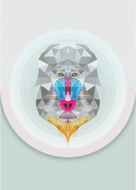 Komar Wandbild Baboon Paper Poster Multicolour B: 50 cm, H: 70 cm - Bild 1