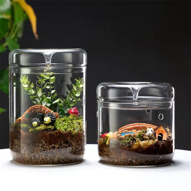 YOWEI Glasterrarium in Transparent für Mikrolandschaften und Bonsai-Dekoration, runde Glasvase für Tischdekoration, Höhe: 12,0 cm - Bild 1