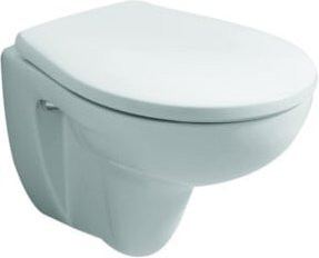 Geberit WC-Sitz Renova Plan in Weiß mit ovaler Form und Edelstahl-Scharnieren - Bild 1