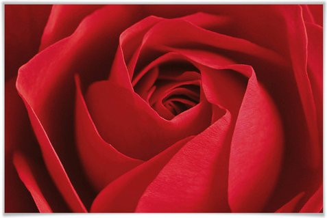 WIZARD+GENIUS XXL Poster Floral Botanical in Bunt, B: 175 cm, H: 115 cm - Bild 1