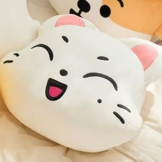 Yiran toy Jungwon Gesichtskissen Plüsch, Stoffpuppe, ab 14 Jahren - Bild 1