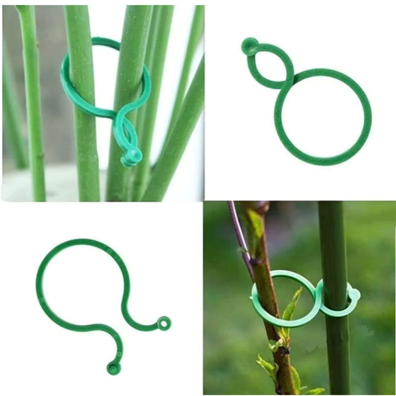 Grüne Kunststoff Reben Umreifung Clips zur Unterstützung wachsender Pflanzen als Halter für die Gartenarbeit - Bild 3