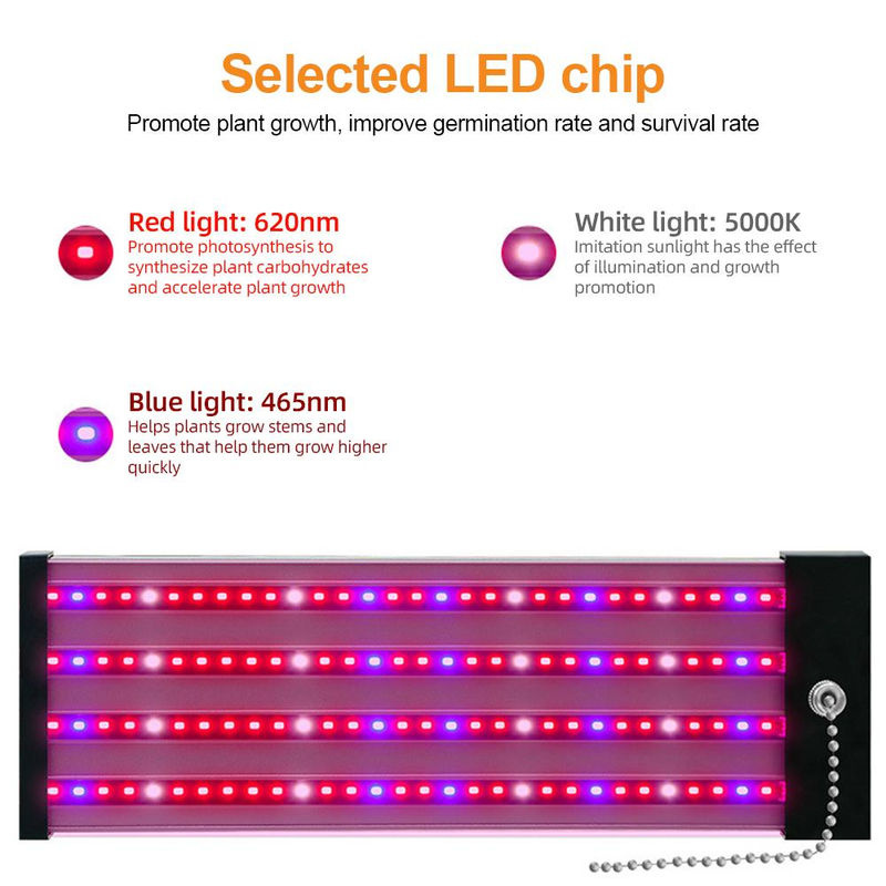 GoolRC LED-Wachstumslichter für Zimmerpflanzen, Vollspektrum mit 5000 K Tageslicht, Rot und Blau, verknüpfbar und höhenverstellbar, Farbe: Schwarz/Lila, Breite: 50 cm - Bild 2