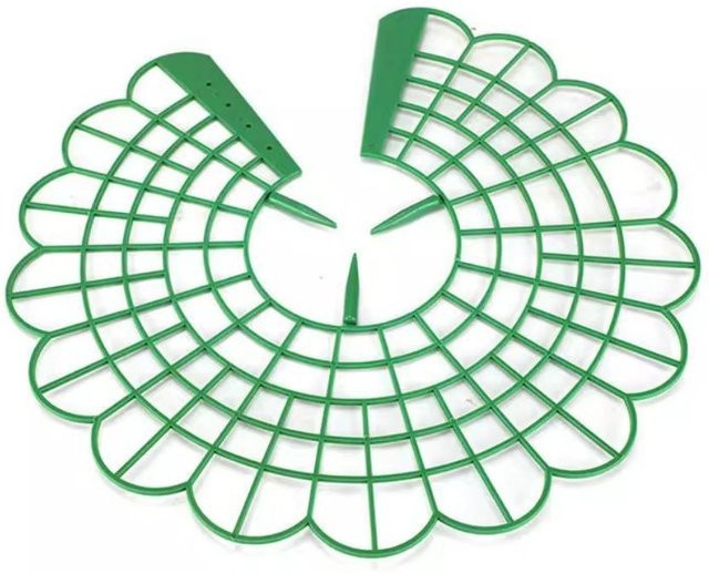 AYTA Erdbeerpflanzenstützen in Grün mit 3 stabilen Beinen als Schutzrahmen für den Gemüseanbau - Bild 1