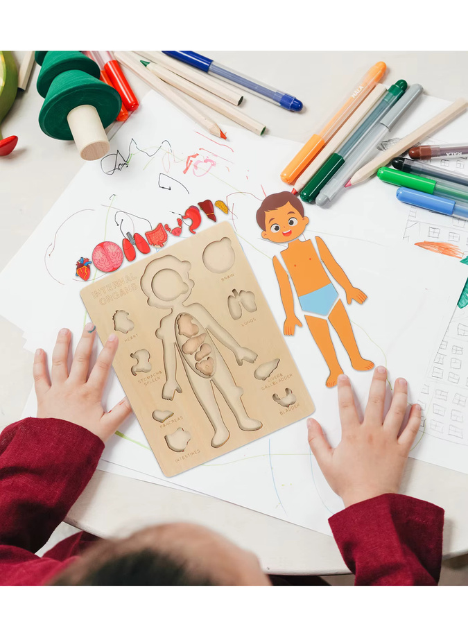 LOLOTREE Montessori-Puzzle Anatomie-Orgelmodell, Holz, Bunt / Mehrfarbig - Bild 2
