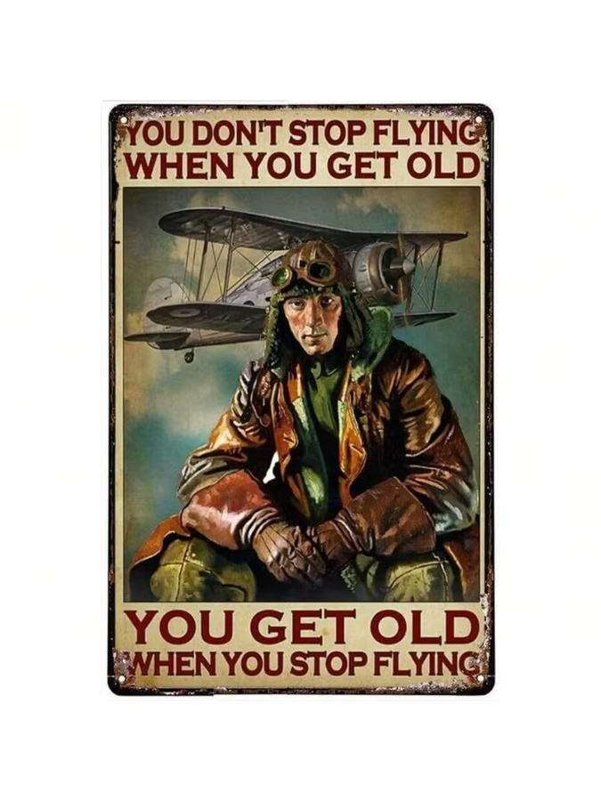 Retro-Blechschild CIFBUY mit Flugzeugmotiv und Zitat, Metall-Wanddekoration in Multicolour, B: 30,0 cm, H: 20,0 cm - Bild 2