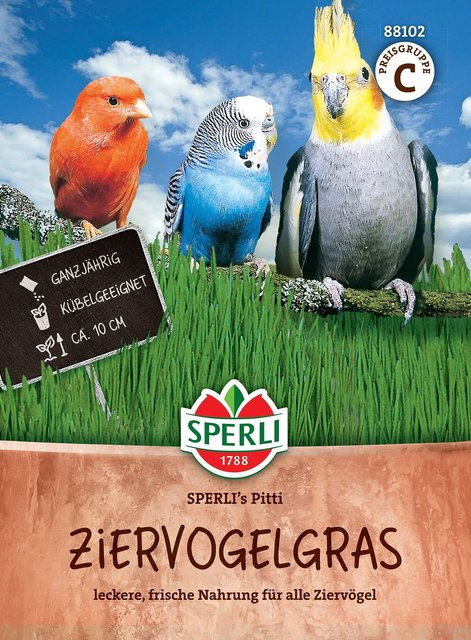 SPERLI Ziervogelgras-Samen Pitti - Bild 1