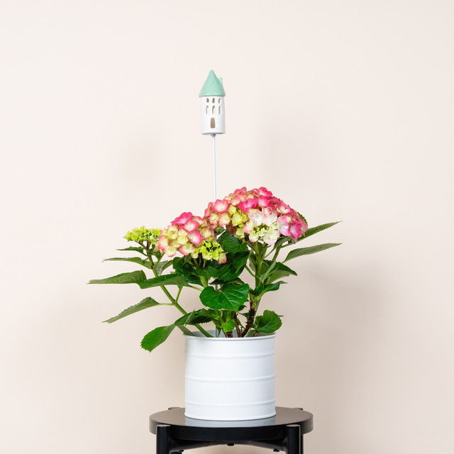 Keramikstecker Turm mit türkisfarbenem Dach von BLUME2000 Green Living - Bild 1