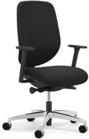 Giroflex Bürostuhl 353 mit Armlehnen und Auto-Synchronmechanik in Schwarz/Alusilber - Bild 1
