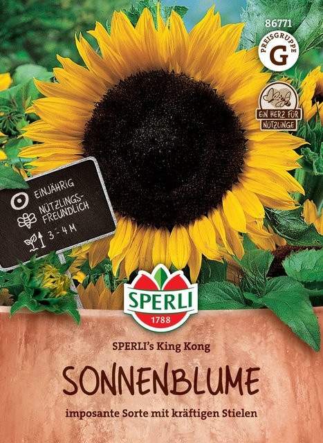 SPERLI Sonnenblumen-Samen King Kong, Gelb - Bild 1