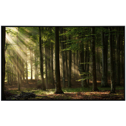 papermoon Infrarotheizung EcoHeat Herbstwald mit Matt-Effekt in Bunt, App-Steuerung und Überhitzungsschutz - Bild 2