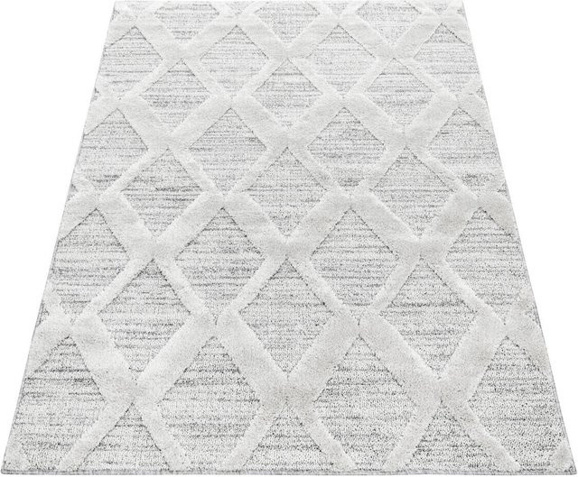 Ayyildiz Hochflorteppich Pisa in Grau im skandinavischen Stil, B/L: 80 x 250 cm - Bild 1