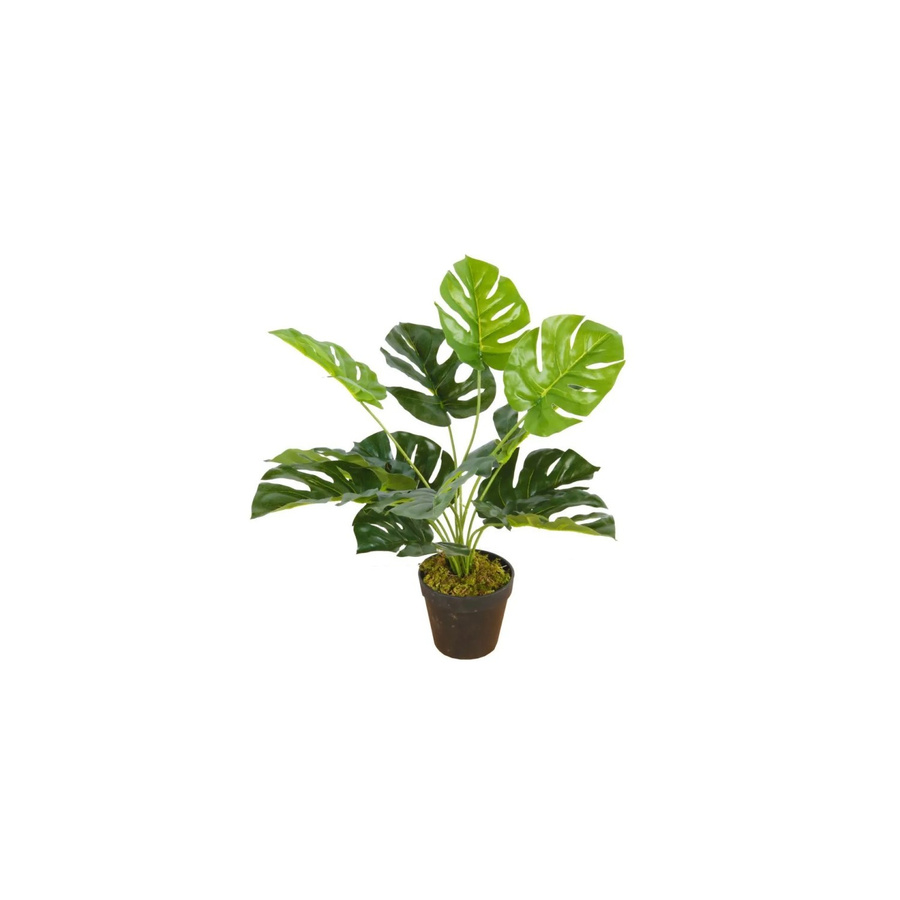 Lex Kunstpflanze Monstera Tischpflanze in Grün mit 12 Blättern, Höhe: 45 cm - Bild 2