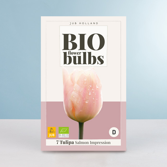 BIO Darwin-Hybrid-Tulpe Salmon Impression mit 7 Zwiebeln - Bild 1