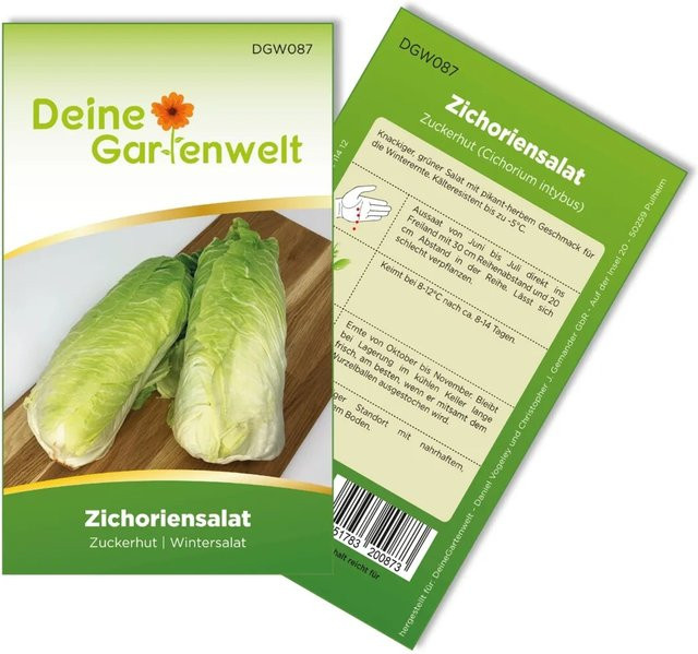 Deine Gartenwelt Zichoriensalat Zuckerhut Samen für den Freilandanbau - Bild 1