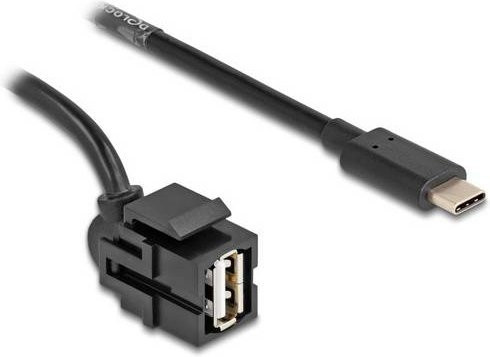 Delock USB 2.0 Kabel mit USB-A und USB-C Stecker Schwarz 0,50 m - Bild 1