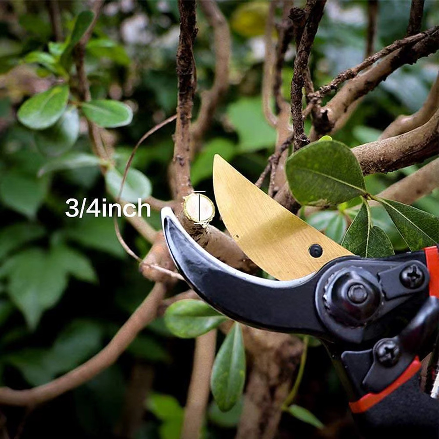 Rafford Multifunktionales Gartenschneidewerkzeug in Schwarz, professionelle manuelle Pflanzenschere für langlebigen Einsatz - Bild 4