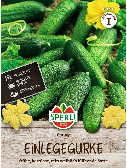 SPERLI Einlegegurken-Samen Conny F1 - Bild 1