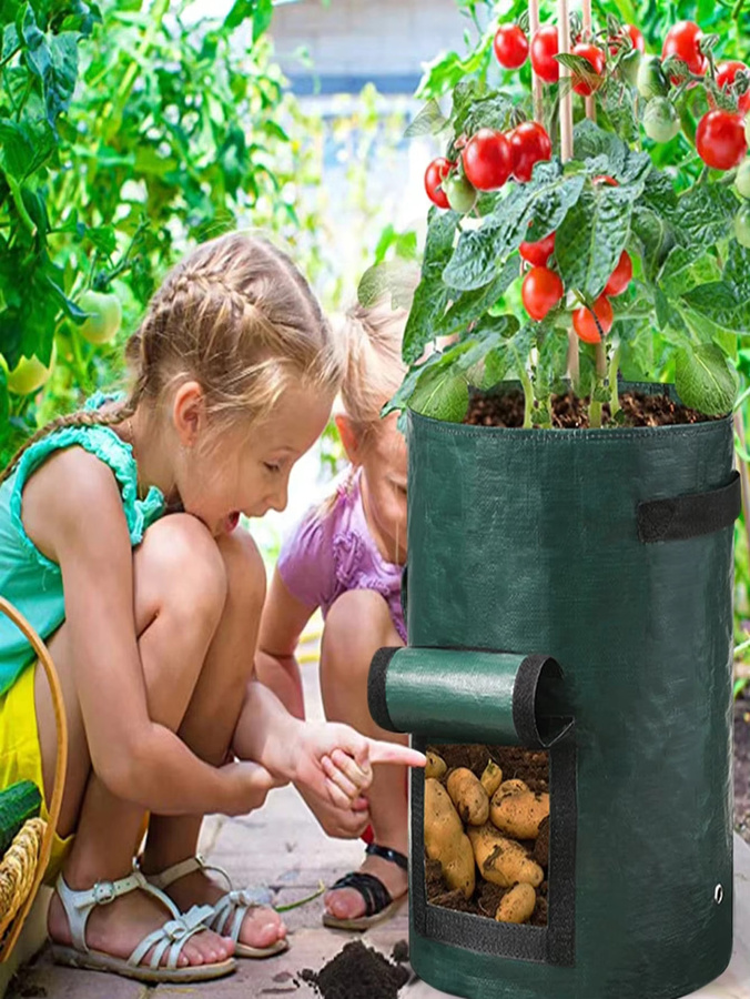 5er Set Garten Pflanzsäcke aus PE-Tuch in Grün für Gemüse und Kartoffeln - Bild 3