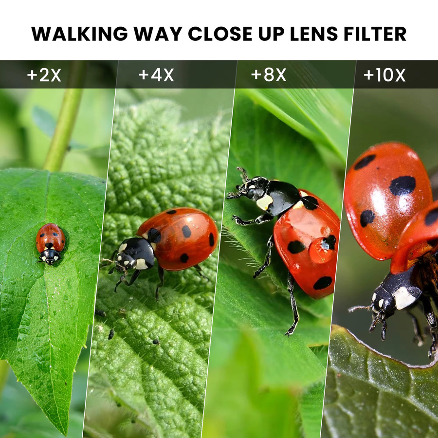 WalkingWay Makro-Nahaufnahmefilter Set für Kameraobjektive in Schwarz mit +2 +4 +8 +10x Zoom für detailreiche Aufnahmen von Schmuck und Pflanzen - Bild 4