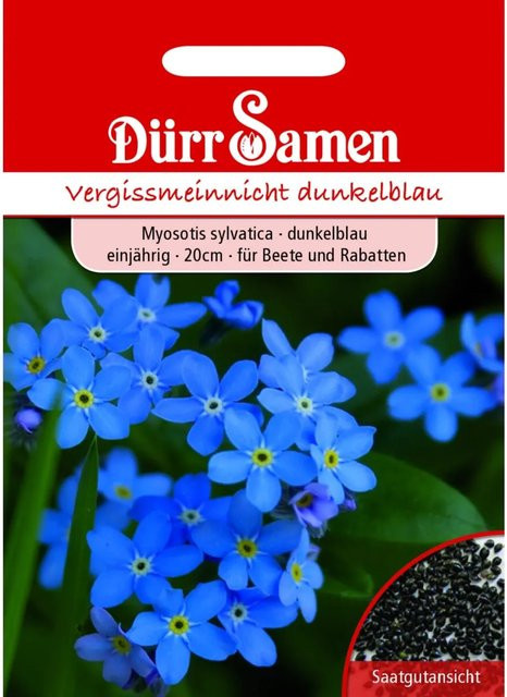 Dürr Vergissmeinnicht Saatgut Blau Einjährig 400 g - Bild 1