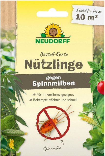 Neudorff Nützlinge zur biologischen Bekämpfung von Spinnmilben für 10 m² - Bild 1