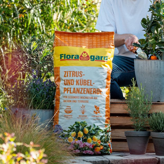 Floragard Zitrus- und Kübelpflanzenerde Spezialsubstrat, 40 l - Bild 1