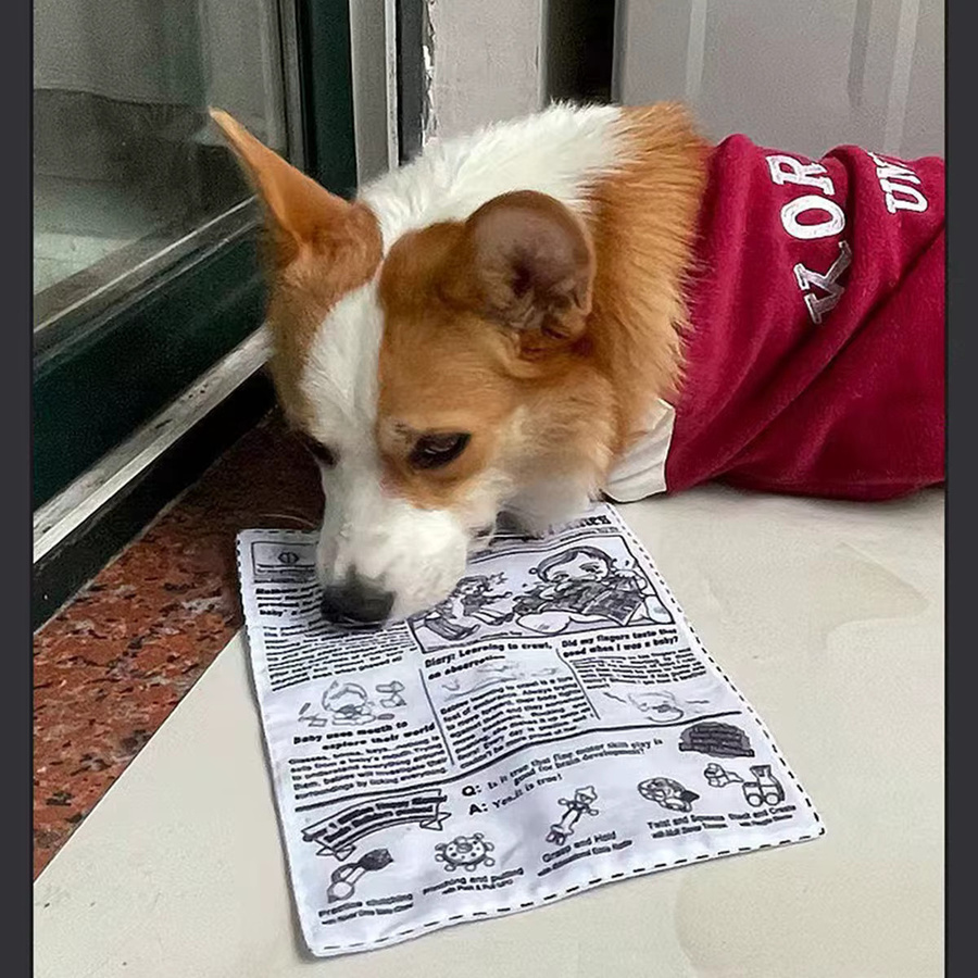 Reißfestes Haustier Hund Sound Spielzeug, Quietschende Zeitung, 1-teiliges Set - Bild 4