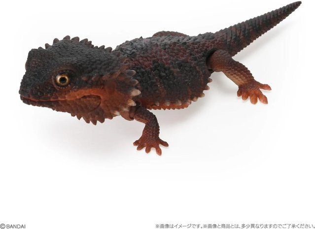 Yiran toy 1 Gacha Biologische Enzyklopädie Japanischer Gecko Bartagame, Actionfigur, Schwarz, ab 18 Jahre - Bild 1