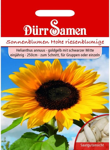 Dürr Sonnenblumen Saatgut Hohe Riesen Goldgelb mit Schwarzer Mitte - Bild 1