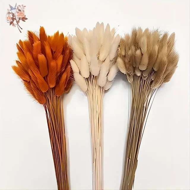90 Stück Boho Herbst getrocknete Blumen Set aus Lagurus Hasenschwänzen in 3 Farben Mix zur Inneneinrichtung und Heimdekoration - Bild 1