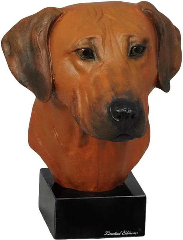 Bemalte Rhodesian Ridgeback Figur in Braun von Art-Dog aus Kunstharz - Bild 1