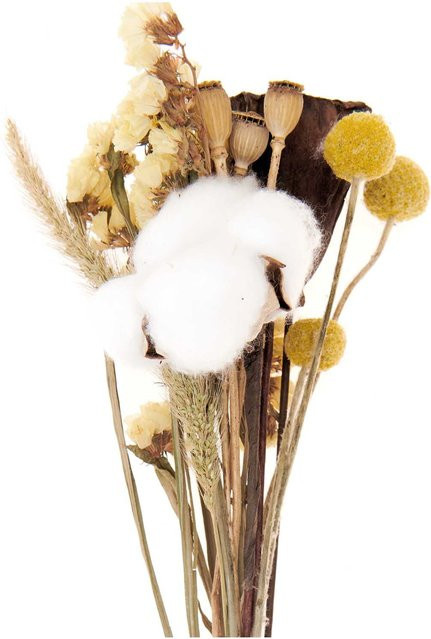 Rico Design Trockenblumenstrauß aus Naturmaterialien in natur-gelb, Höhe: 30 cm - Bild 1