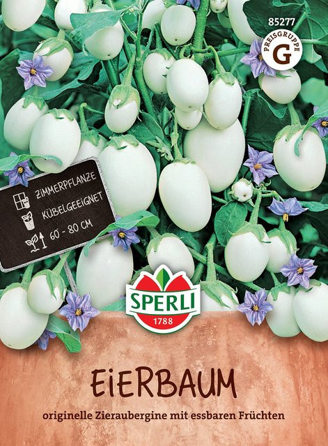 SPERLI Eierbaum-Samen - Bild 1