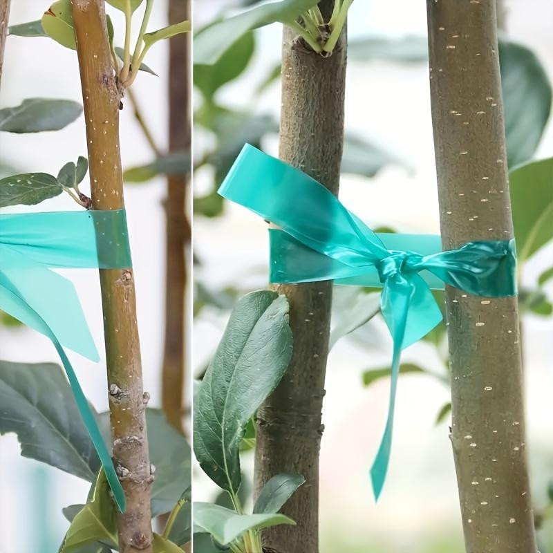 SZ-JZQ Stretch-Bindebandrolle aus Vinyl in Grün, 4 Rollen robustes Pflanzenband für Garten, Terrasse sowie Innen- und Außenbereich, Länge: 45 m - Bild 5