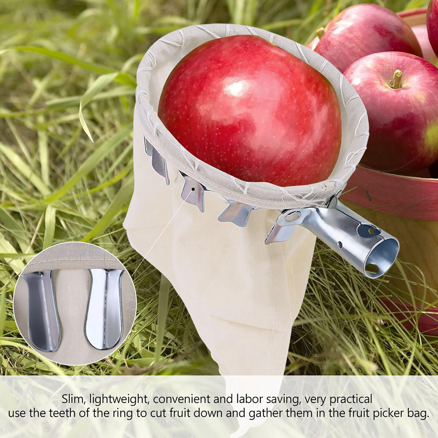 GoolRC Fruchtpflücker Kopf Korb als Obstpflückwerkzeug für die Apfelernte - Bild 2